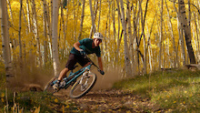 Video: Peak Season - Fall in Colorado