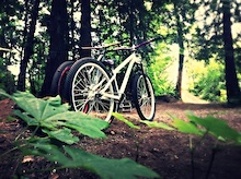 Bikes In the woods...