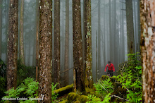 Kevin Koopmans, president of FVMBA rides through foggy trees on sumas