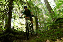 Lush, overgrown riding in the Willamette National Forest.