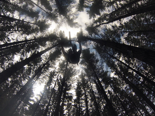 Getting upside down in the trees. Stoked.