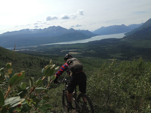 August 2013 Yukon Trip - Heli-biking (https://www.facebook.com/Yukonhelibiking) near Carcross. Photo by JC.

Further down the trail is steep, loose and tight… lots of fun riding!