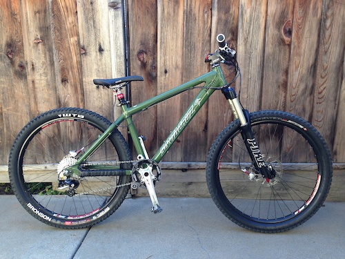 2007 santa cruz chameleon