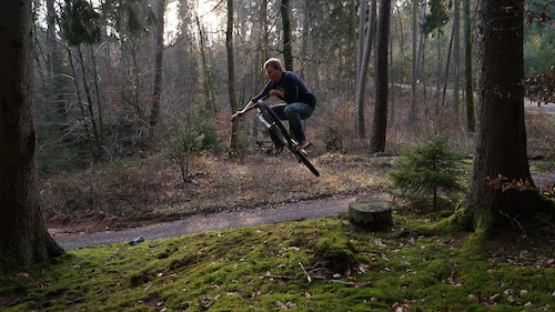 just a little tabletop in the forest
