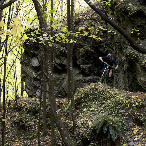 Paths laid by old prospectors have found a new life outside Arrowtown.   Photo|

@traharn #HopkinsNZshred @norcobicycles @smithoptics @661protection

@rideshimano @ridegravity @dissentlabs @camelbak @srsuntour @monsroyale
