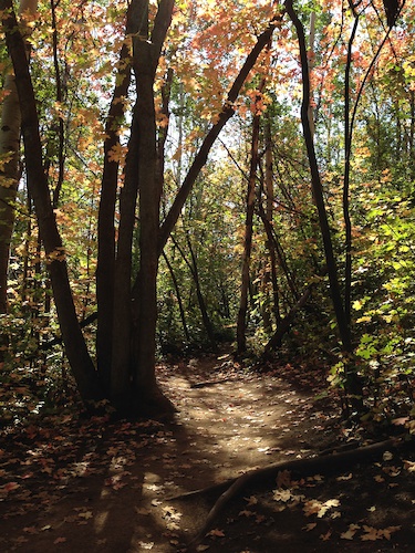 Mid Mountain Loop