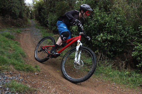 Belmont regional park sales mountain bike tracks