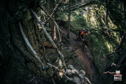 Rene Gozalez navigates his way through the old growth forests.