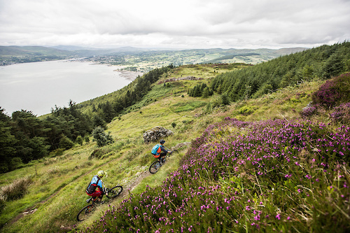 This climb is amazing. I don't always say that! Who loves to just climb? But this Cloughmmore climb is amazing. This is a perfect image of what Rostrevor trail park has to offer. Breathtaking views whilst you climb.