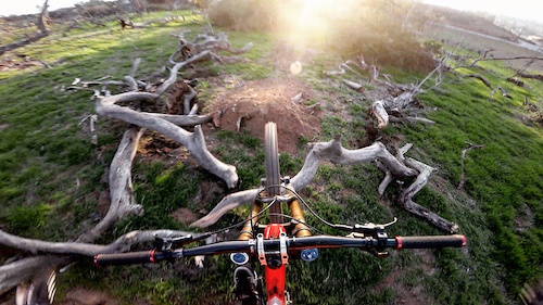 Suicide no hander over a tree that fell on the jump this week. My version of Disnleyland's Soarin' Over California.