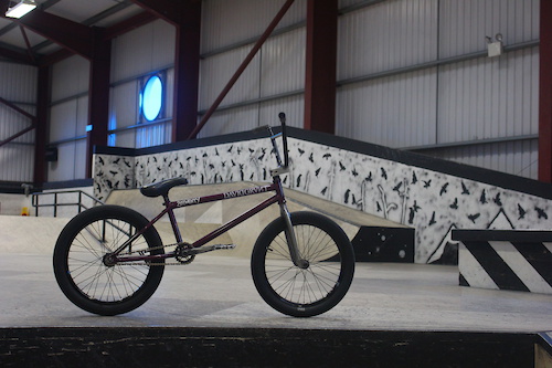 bsd raider
