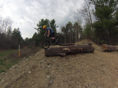 Endo on the end of a log!