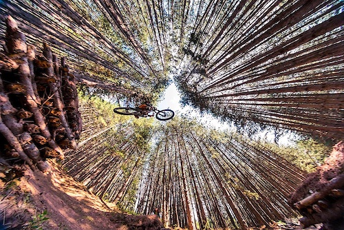 Getting some fresh air.
Photo: Peter Savovphotography @nervous-hamster
Photo of the week in www.mtb-bg.com
#Freeriding #Marzocchilives