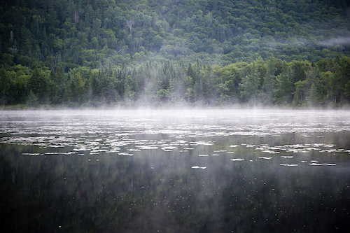 Morning lake mist. PHOTO: Ben Gavelda