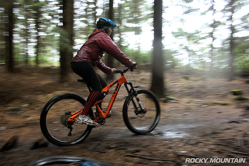 haldon mountain biking