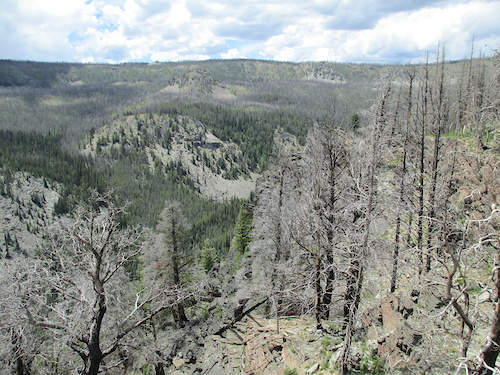 Looking down into the West Fork of Iron Creek drainage.  The trail is in the bottom.