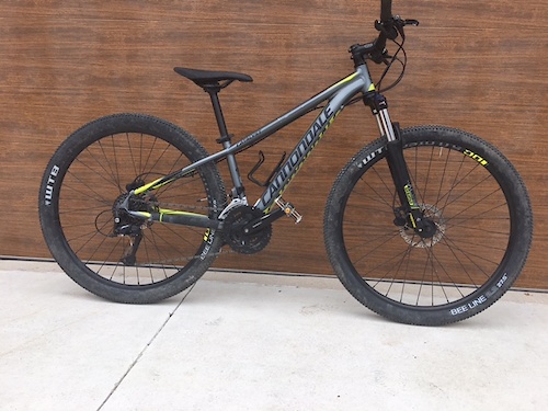 Cannondale catalyst 1 2017 online