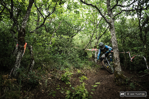 Sam hill can smell and inside line a mike away and had no trouble with this tree that caught out everyone but the local French riders.