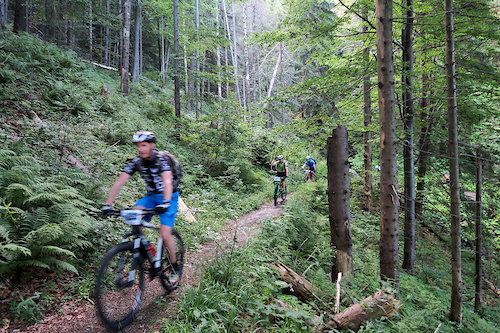 Typical trails in Beskidy Mountains.