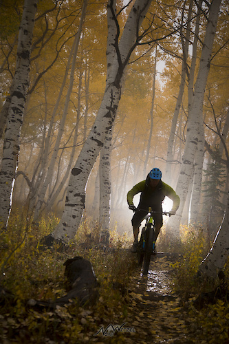 Cold and rainy fall day underneath a golden canopy in Steamboat Springs, Colorado.