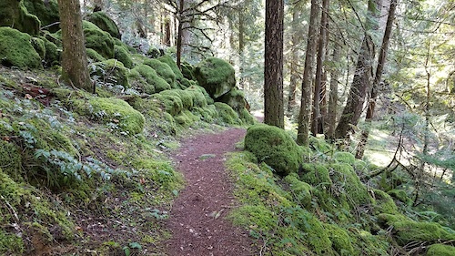 North Umpqua Trail