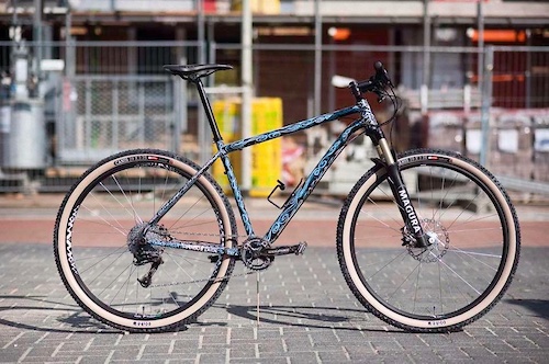 steel 29er frame