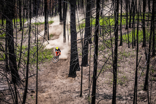 Ollie Jones blazin' trail through a burnt forest.