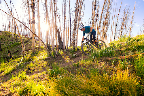 When Niner launched the new RIP 9 RDO and JET 9 RDO they held a press launch at the Coyote Yurt with Sun Valley Trekking. While some people chilled before dinner a few of the journalists and I headed out with Adrian and a guide in search of some epic images. This is one of my favorites from that evening.
