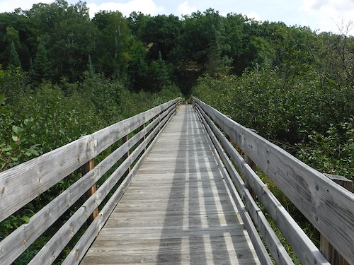 High Country Pathway (IMBA EPIC)