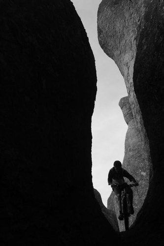<i>Photo:Sterling Lorence</i>