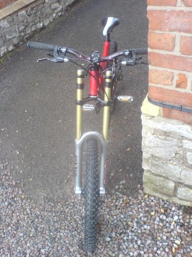 saracen dtox