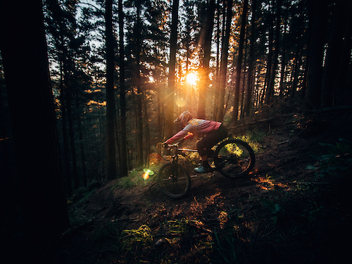 Lush forests, light &amp; riding!