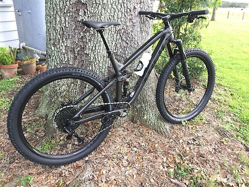 2019 EX 8