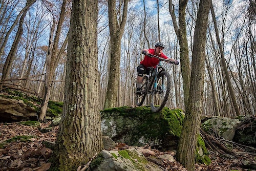 pinkbike drop