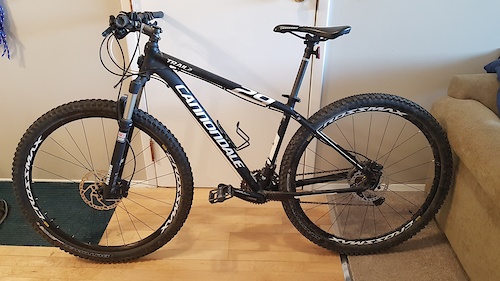 Cannondale trail 2 sale 2016