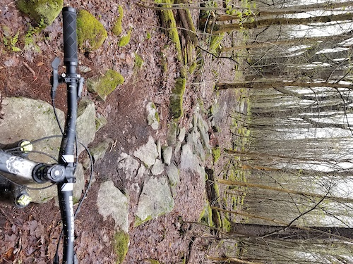 Ellicottville Loop