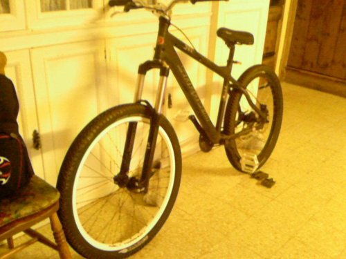 huffy nel lusso gray