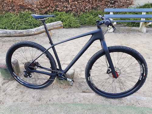 feit Mening afstand MTB carbon met vaste voorvork en Hope Pro4 wielset - Mountainbike.nl