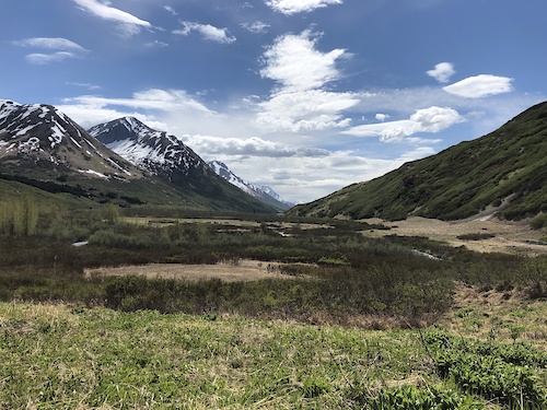 Johnson Pass
