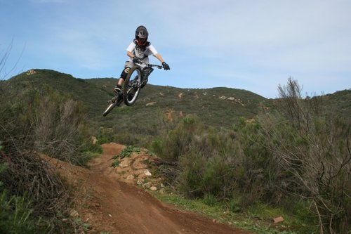 Ted williams mtb store trails