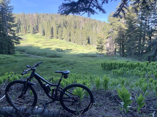 The Cannell Meadow Trail