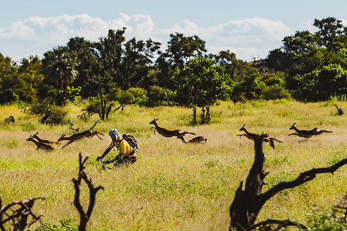 Adiridas African Safari, Mashatu, Botswana