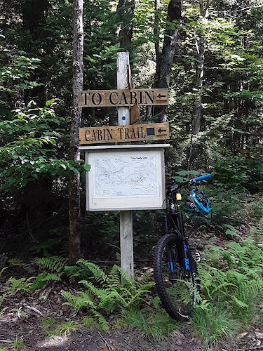 near cabin trail