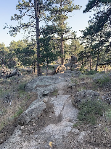 Curt Gowdy State Park