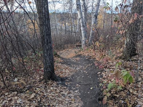 Speed Normal Bike Racer in Edmonton, Alberta, Canada - photo by cam-rides-bikes - Pinkbike