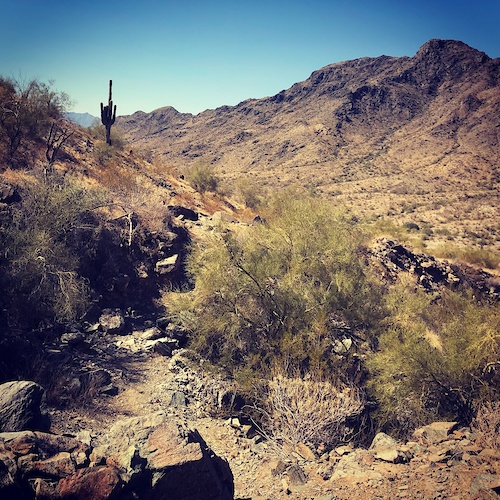 One of the washes to traverse on Bajada Trail