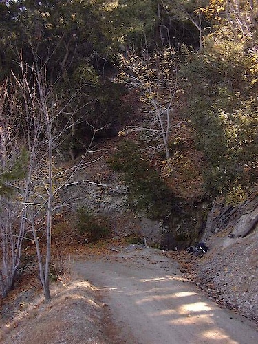 The site of Quail Spring, near the top of Indian Canyon Road.