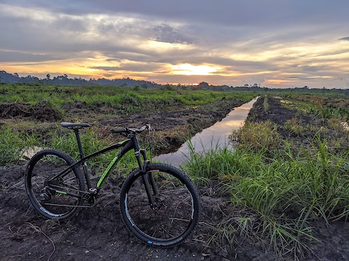 Enjoying the sunset.