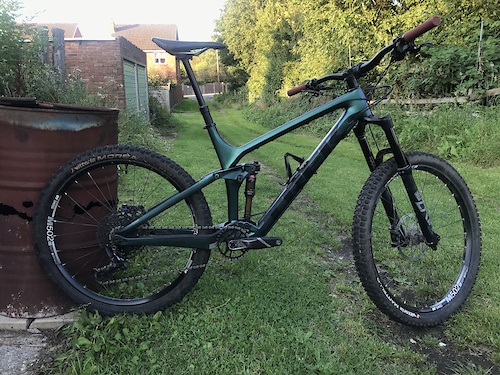 2021 Trek Remedy Custom Emerald Iris Large For Sale