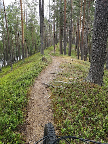 Sininen Saavutus